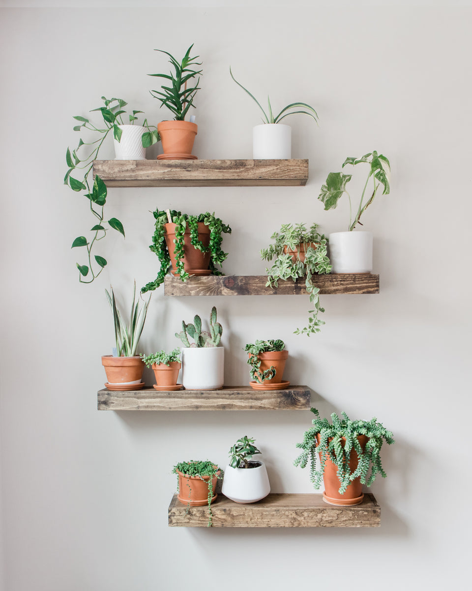 Timber Edge Floating Shelves